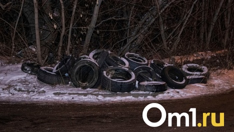 Омского бизнесмена заставили убрать шиномонтажную на колёсиках рядом с онкодиспансером