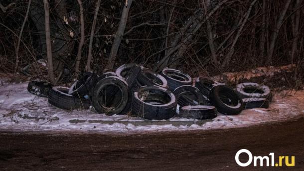 Омского бизнесмена заставили убрать шиномонтажную на колёсиках рядом с онкодиспансером
