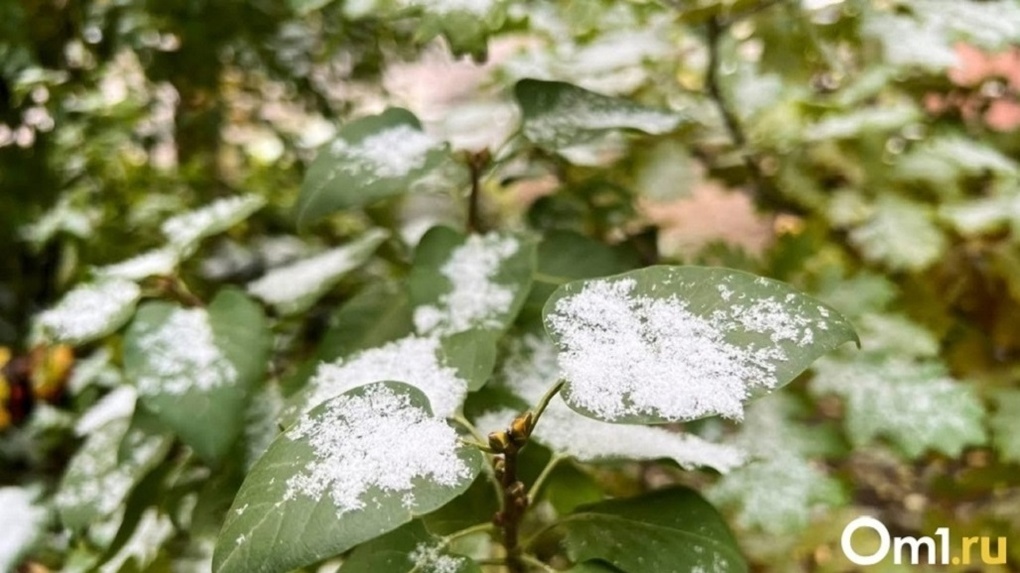 Дождь и снег: пасмурный ноябрь обещают новосибирцам