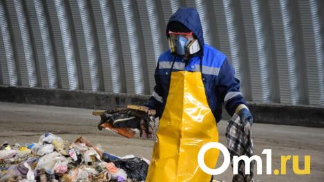 В Омске хотят построить мусоросортировочный комплекс