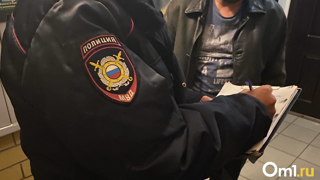 Не поделили машину: пассажиры устроили массовую драку около станции метро в Новосибирске