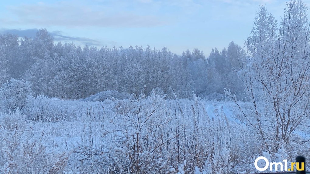 На Омск уже со следующей недели надвигается жуткий мороз почти в 40 градусов