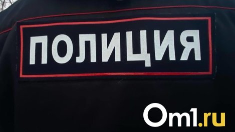 «Побили и распылили в лицо газ»: группа подростков в Новосибирске напала на девочку