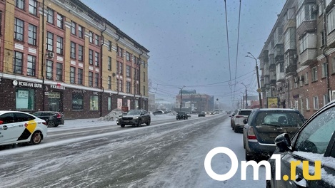 Под Омском автобус с пассажирами слетел в кювет: у водителя были признаки опьянения