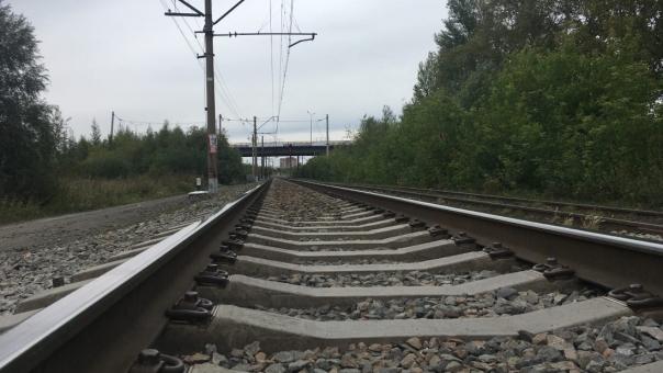 На авиашоу в Мочище запустят дополнительные электрички в Новосибирске