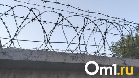 Омичу, который заказал киллеру собственную жену, дали девять лет