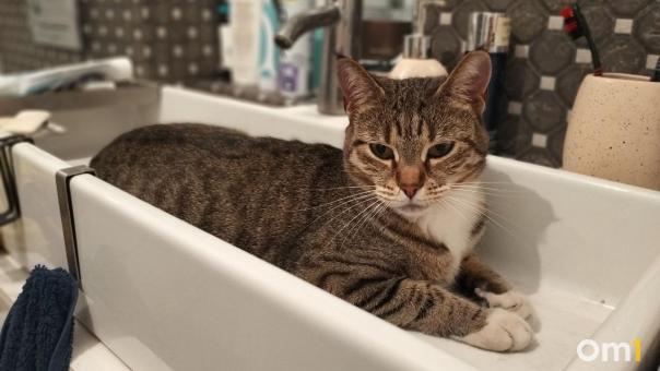 Жители двух округов Омска на весь день останутся без горячей воды