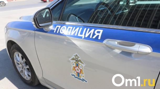 Девочка в больнице: на пешеходном переходе в Омске сбили ребёнка