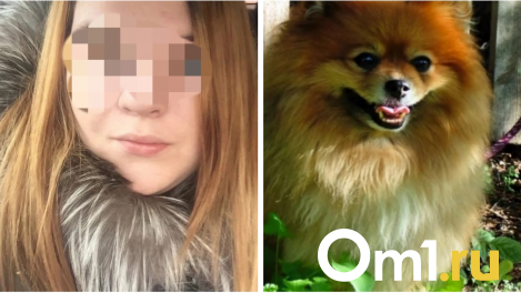 Почти сто обманутых людей и две убитые лошади. В Омске судят аферистку, наживающуюся на любви к животным
