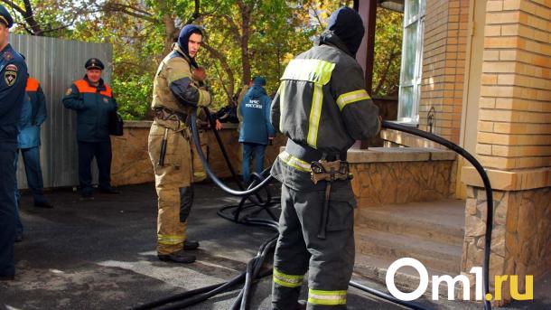 Пожарные спасли омичку из ядовитой ловушки