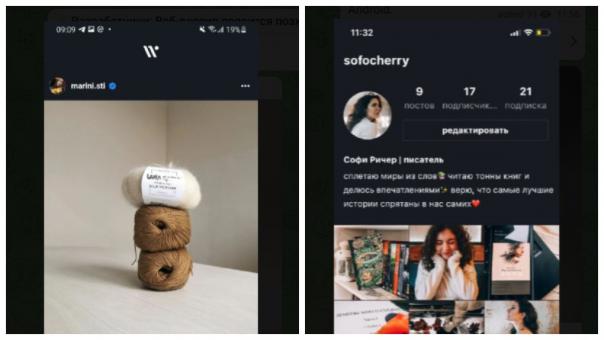 Новый аналог Instagram* создадут в России