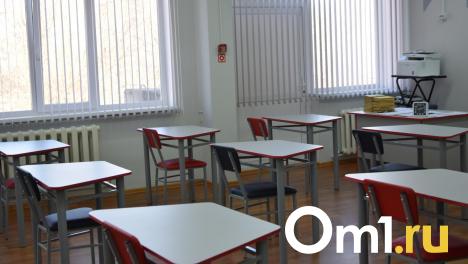 В Новосибирске отменили аукционы на строительство концессионных школ