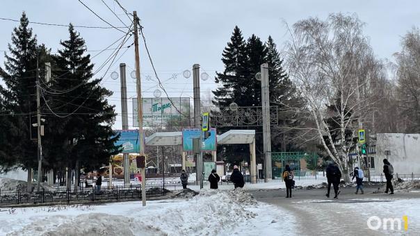 Парк им. 30-лет ВЛКСМ могут в следующем году благоустроить по желанию омичей
