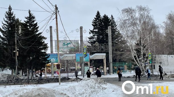 Парк им. 30-лет ВЛКСМ могут в следующем году благоустроить по желанию омичей