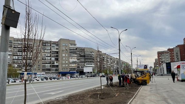На Вокзальной магистрали в Новосибирске начали высаживать липы