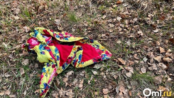Омского таксиста, развращавшего детей, отправили в СИЗО на два месяца