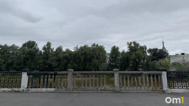 Набережную в центре Омска украсят радужными голубями
