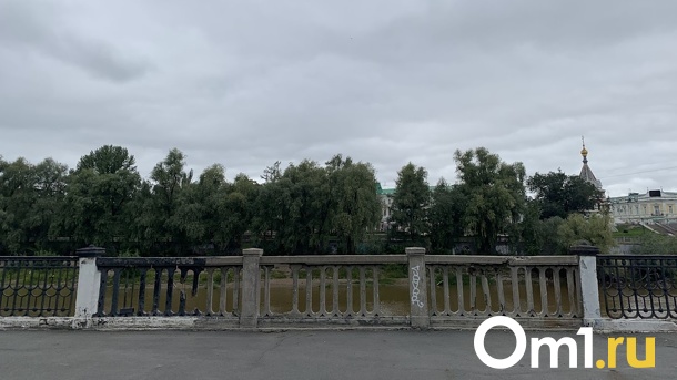 Набережную в центре Омска украсят радужными голубями