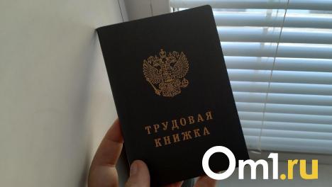 Юрист рассказала, как повлияют ноябрьские праздники на зарплаты омичей