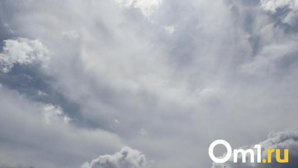В Омске объявлены метеоусловия, опасные для здоровья
