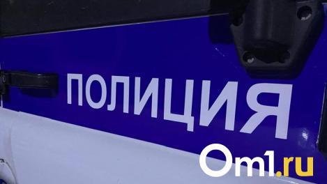 Сценаристка игры из Новосибирска привлекла внимание правоохранителей