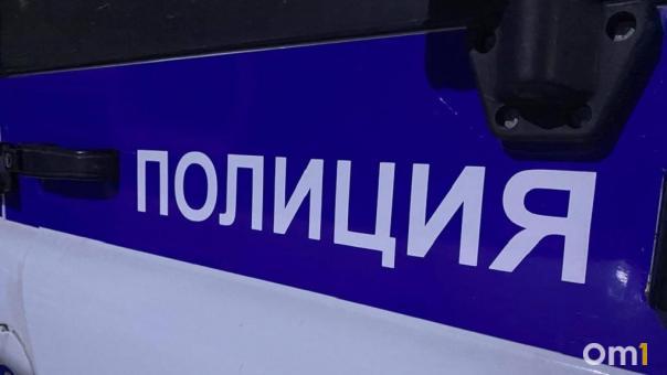 Сценаристка игры из Новосибирска привлекла внимание правоохранителей