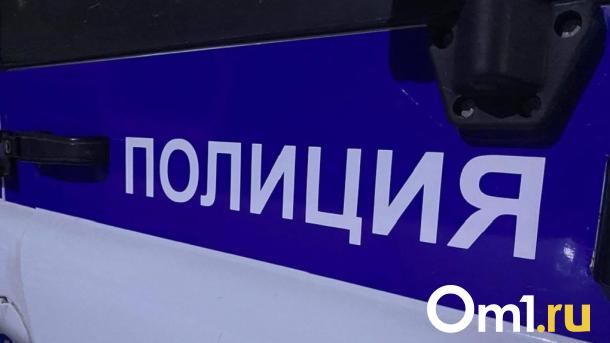 Сценаристка игры из Новосибирска привлекла внимание правоохранителей
