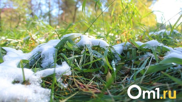 В начале рабочей недели омичей ждут заморозки и туман