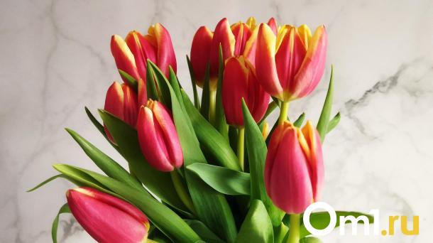 Омичам рассказали, как правильно выбирать тюльпаны к 8 Марта