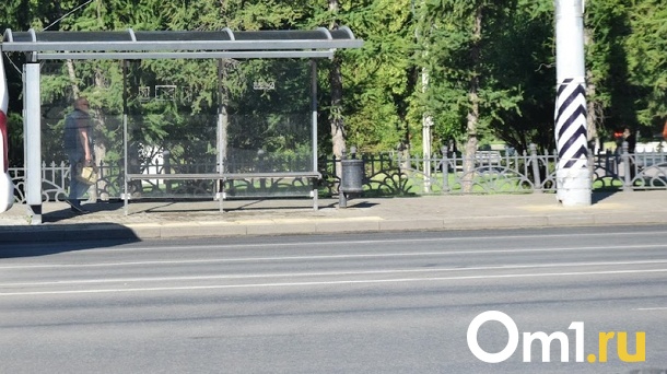 В Омске на Левобережье построят новую дорогу