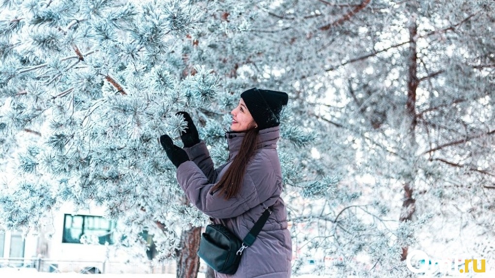 В Омске на Московке-2 высадят более 600 крупномерных деревьев