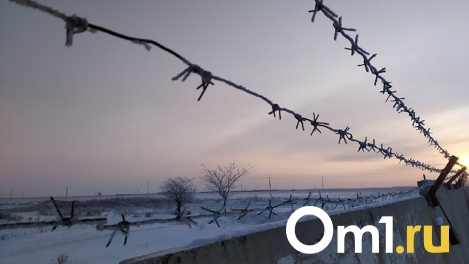 Стреляли в лицо и садили в яму с водой: в Омске будут судить банду, обвиняемую в похищении людей
