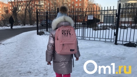 В Омске начали массово закрывать школы на дистант из-за всплеска омикрона