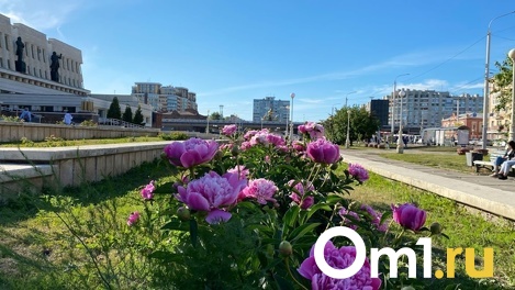 Температура выше нормы и почти без осадков. Синоптики дали прогноз погоды на май в Омской области