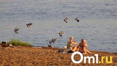 В Омской области обнаружили более 600 опасных мест для купания