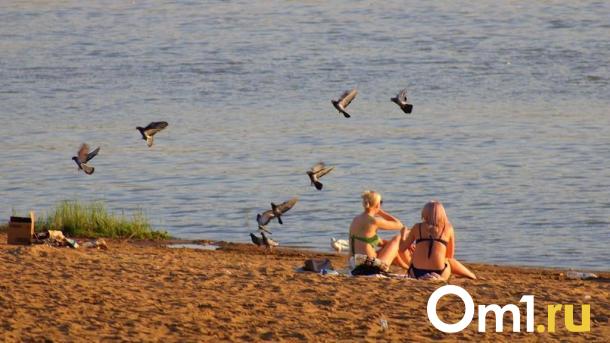 В Омской области обнаружили более 600 опасных мест для купания