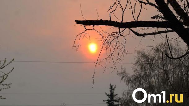 Метеозависимым приготовиться: магнитная буря ударит по Омской области