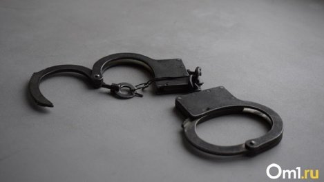 В Новосибирске 21-летний мужчина убил прохожего самодельным кистенём