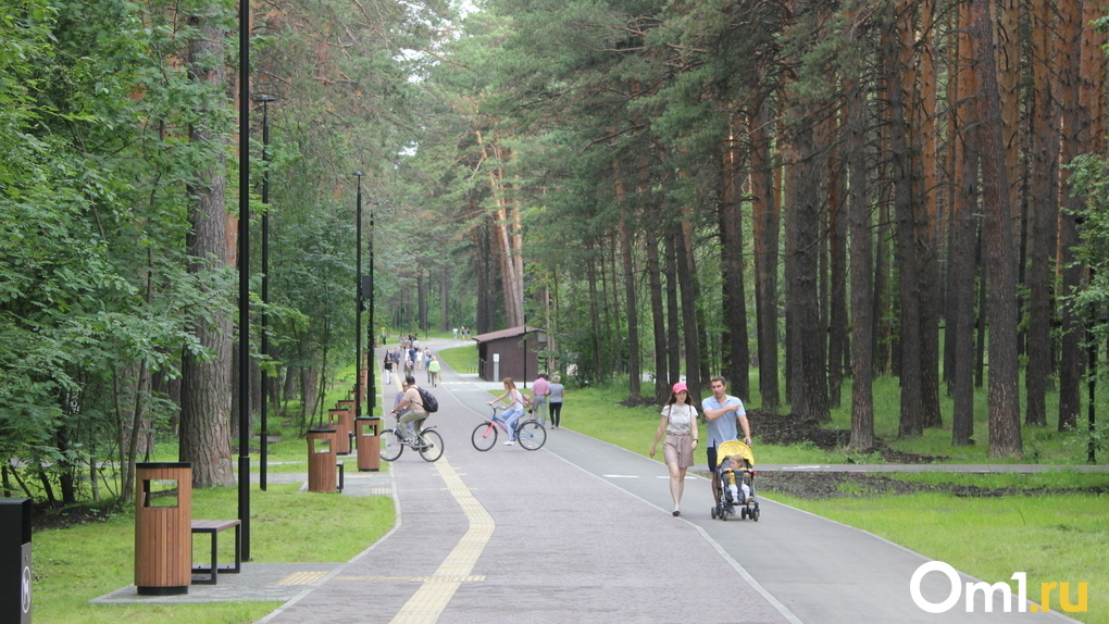 Экотропы, велодорожки и канаты: как преобразился Заельцовский парк после реконструкции. ФОТОРЕПОРТАЖ