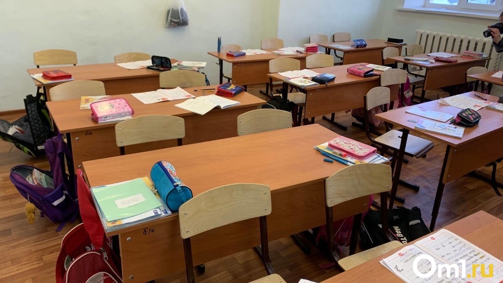 Безопасность новосибирских школ проверят после трагедии в Казани