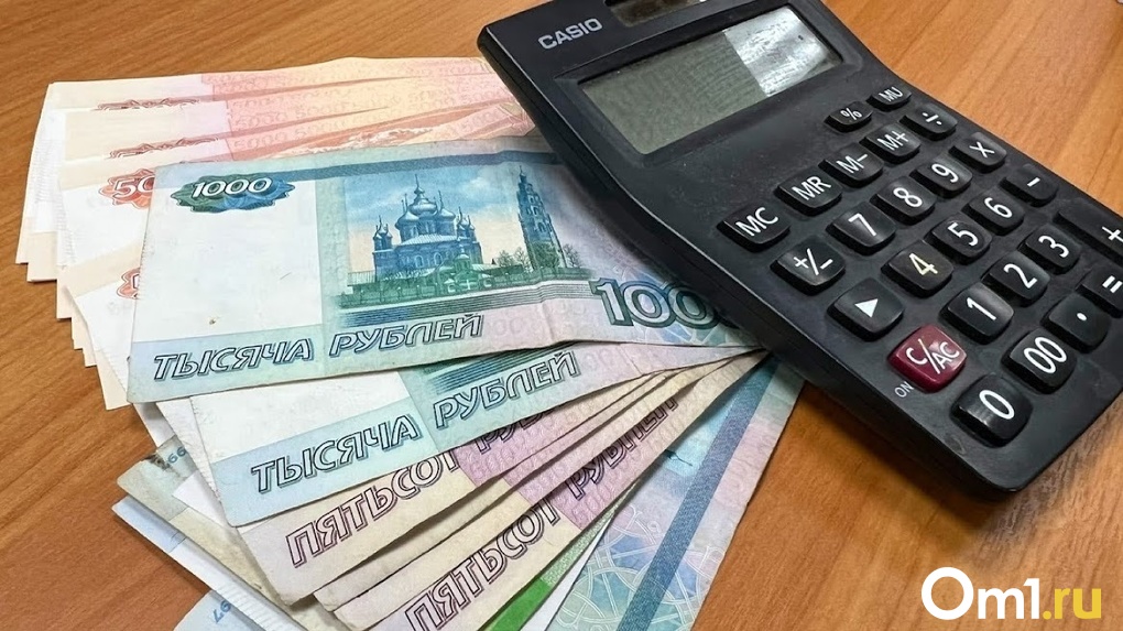 Более миллиарда рублей омичи уплатили по неверно заполненным документам