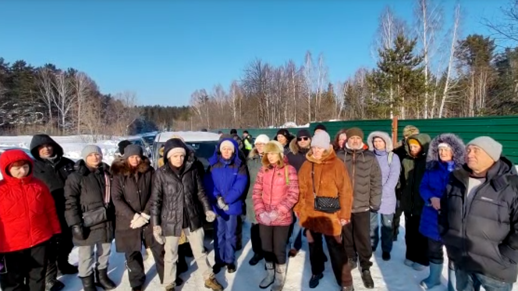 Новосибирцы просят у федеральных властей вмешаться в вырубку краснокнижного леса в Нижней Ельцовке