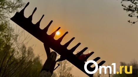 В Омске массово распродают заброшенные дачи по цене смартфона