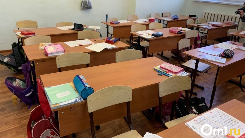 В омской школе, где историк обозвал детей крысами, теперь жалуются на учителя технологии