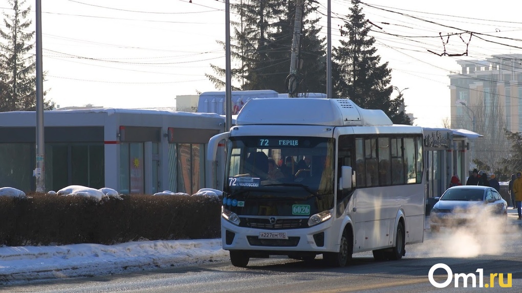 Омск попал в список городов, куда направят новые автобусы по нацпроекту