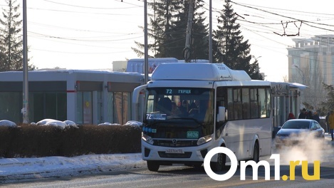 Омск попал в список городов, куда направят новые автобусы по нацпроекту