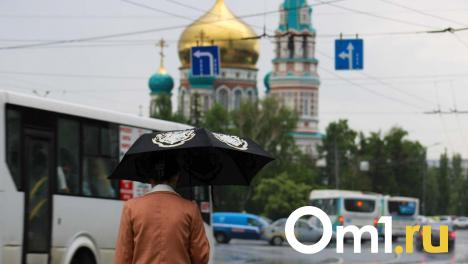 На выходных в Омской области сохранится непогода