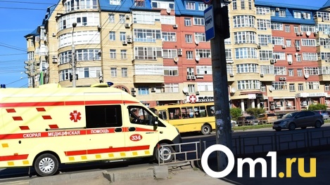 Впали в кому и умерли. В садовом доме под Омском внезапно скончались двое мужчин