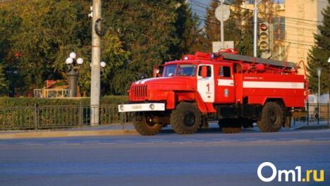 Ситуация обострилась: 105 пожаров охватили Новосибирскую область