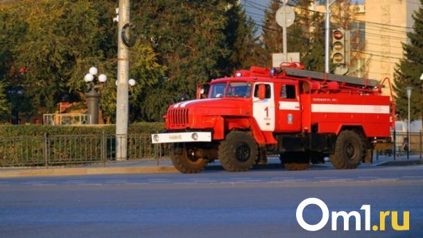 Ситуация обострилась: 105 пожаров охватили Новосибирскую область